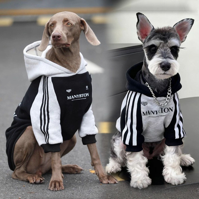 大狗潮牌卫衣杜宾金毛狗狗衣服