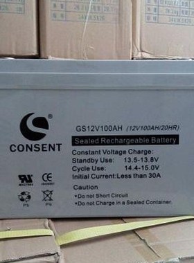 CONSENT光盛蓄电池12V24AH免维护GS12V2K4AH UPSEPS直流屏通讯专