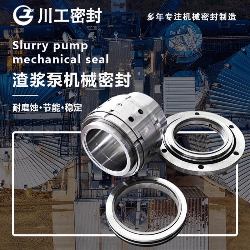 常见密封类型机械密封300ZJ-I-C90200ZJ-I-OA65 船用发动机密封环