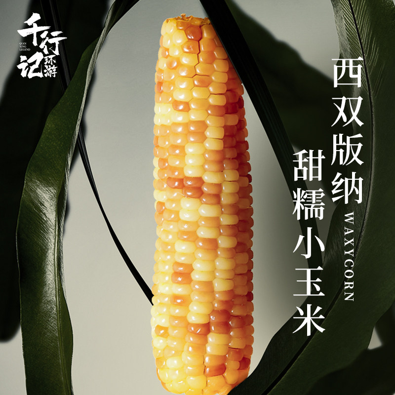 千行环游记严选当季新鲜甜糯玉米真空保鲜西双版纳花糯玉米3斤装