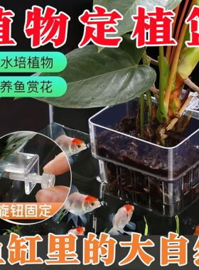 新款镂空花盆水培鱼缸水培定植篮水草种植杯壁挂式加厚透明水培篮