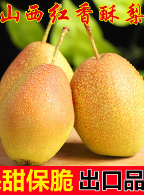 红香酥梨现摘贵妃红梨新鲜梨子当季正宗香酥梨雪梨脆甜酥脆