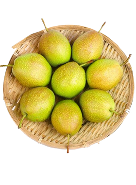 红香酥梨3斤单果150g+  kj