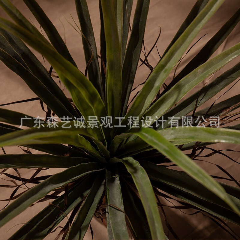 网红仿真龙血树绿植假树盆栽盆景室内客I厅落地家居装饰造景观摆