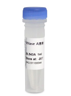 免邮含票 RNase A溶液 核糖核酸酶A 1E0mg/ml 科研试剂 BL543A