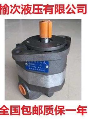 CB-HB80-gFL CB-HB80-FL-X Y2 Y1榆次液压有限公司齿轮泵SUETEC牌