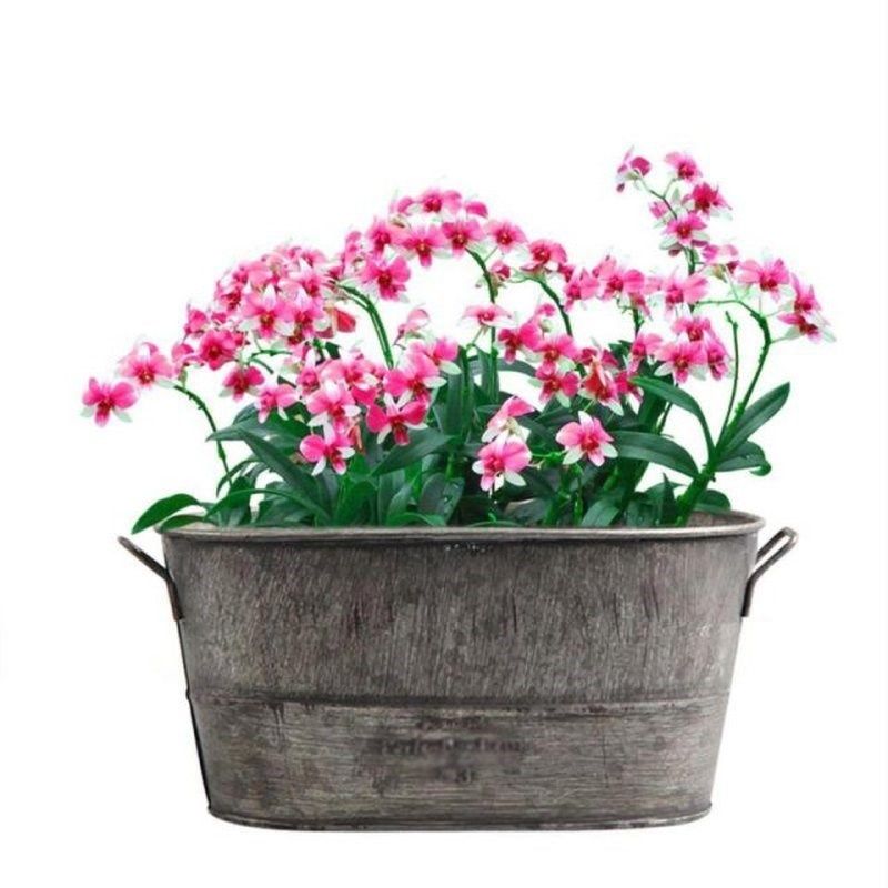 Zinc Metal Flowerpot Garden Planter TJrough Flower Plant Pot