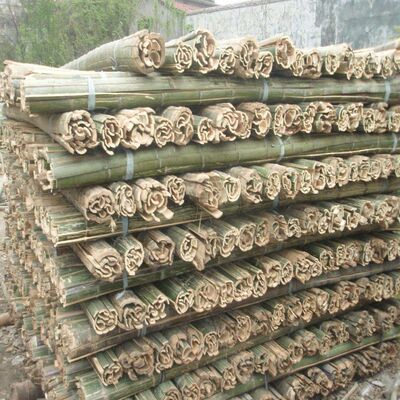 竹条竹片a大棚骨架搭温棚毛料竹片竹条农用大棚架小保温棚拱棚支