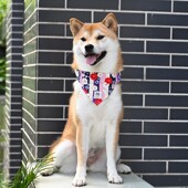 芮柴 宠物狗狗猫咪颈圈围巾口水巾脖套.狗绳牵引 柴犬三角巾项圈