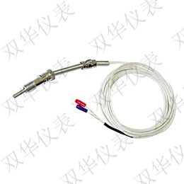 WZPM2-001 双支端面铂铑热电阻