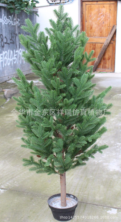 仿真亚洲植物树叶秦岭冷杉叶云杉水杉塔形秦岭杉叶兴安落叶松批发