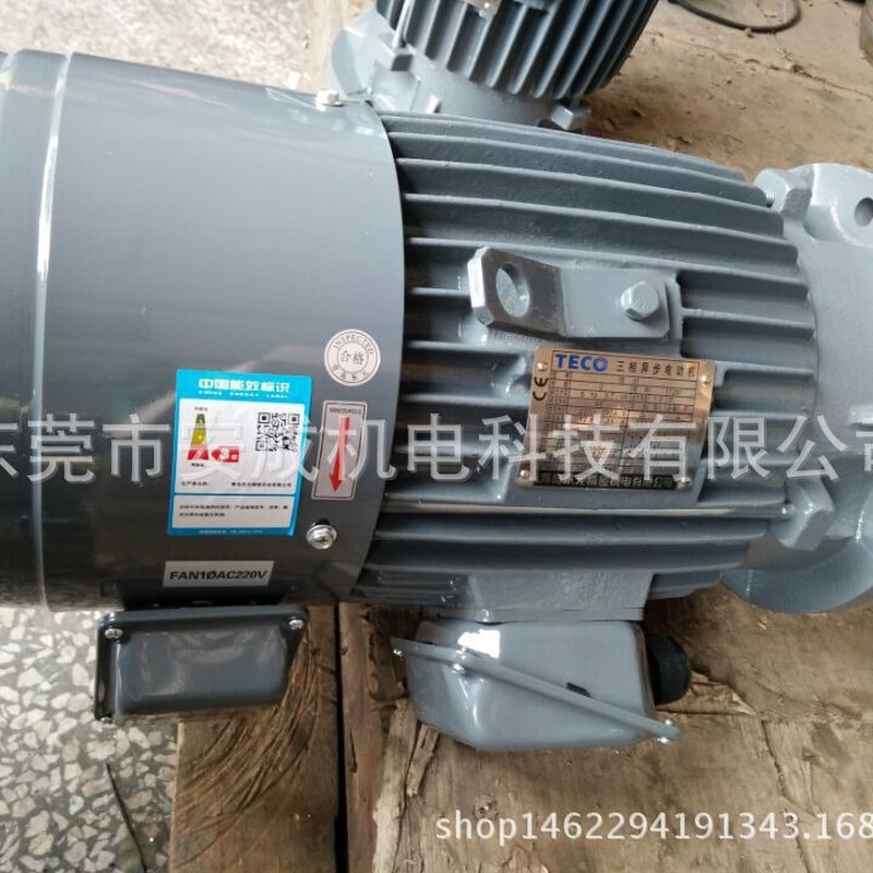 东元电机变频电机1HP 0.75KW  4P AEVFF3立式