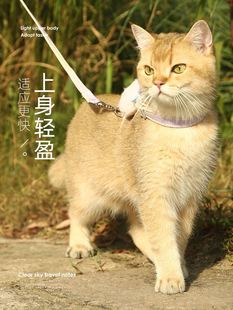 猫咪牵引绳遛猫绳防挣脱猫绳子猫猫外出栓猫链子猫背带可调节挂绳