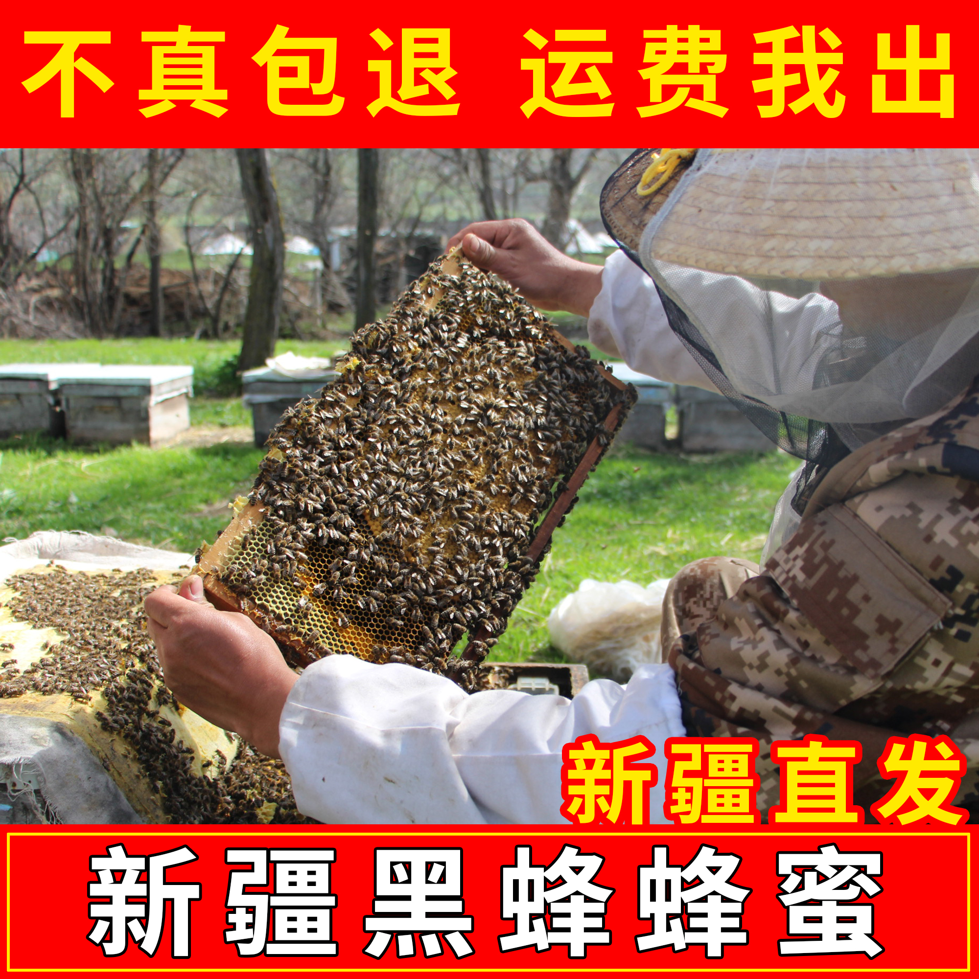 壹世健新疆黑蜂蜂蜜纯正天然槐花蜜百花蜜红花党参蜜土蜂蜜旗舰店
