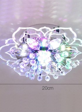 Modern LED Crystal Glatss Ceiling Light Flower Shape Colorfu