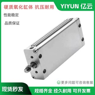 100 10G 扁平形气缸DZF12