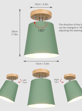 LED Cbeiling Light Iron Wood ceiling lamps Nordic Modern Cei