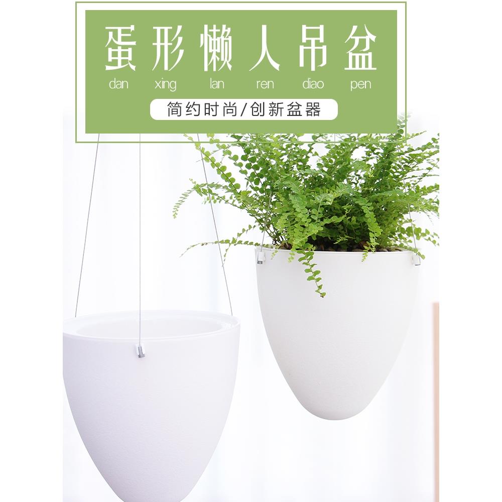 悬挂创意霸王蕨类植物自动吸水懒壶阳台悬挂欧式室内悬挂兰壶