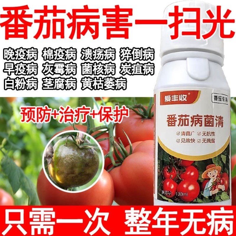 番茄病害专用药番茄病菌清灰霉炭疽专用番茄专用杀菌剂病全治全管