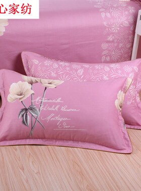 一对枕套定做e尺寸抱枕皮枕套不含芯大枕套小号40x60加大50x80成