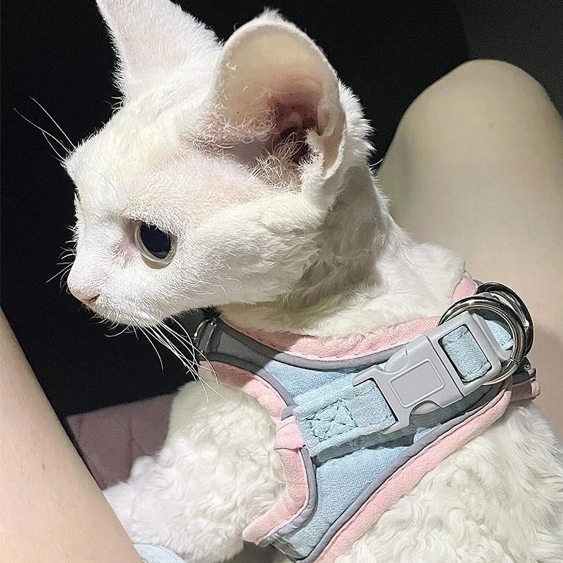 牵引绳猫咪衣服外出遛猫专用背心式胸背带宠物防挣脱神器小型犬,宠物/宠物食品及用品,猫牵引绳,淘宝优惠券,粉丝福利购,淘宝优惠卷