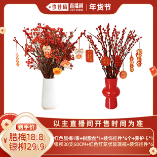 【李佳琦直播间年货抢先购】花伴水年宵花腊梅银柳鲜切花摆件喜庆