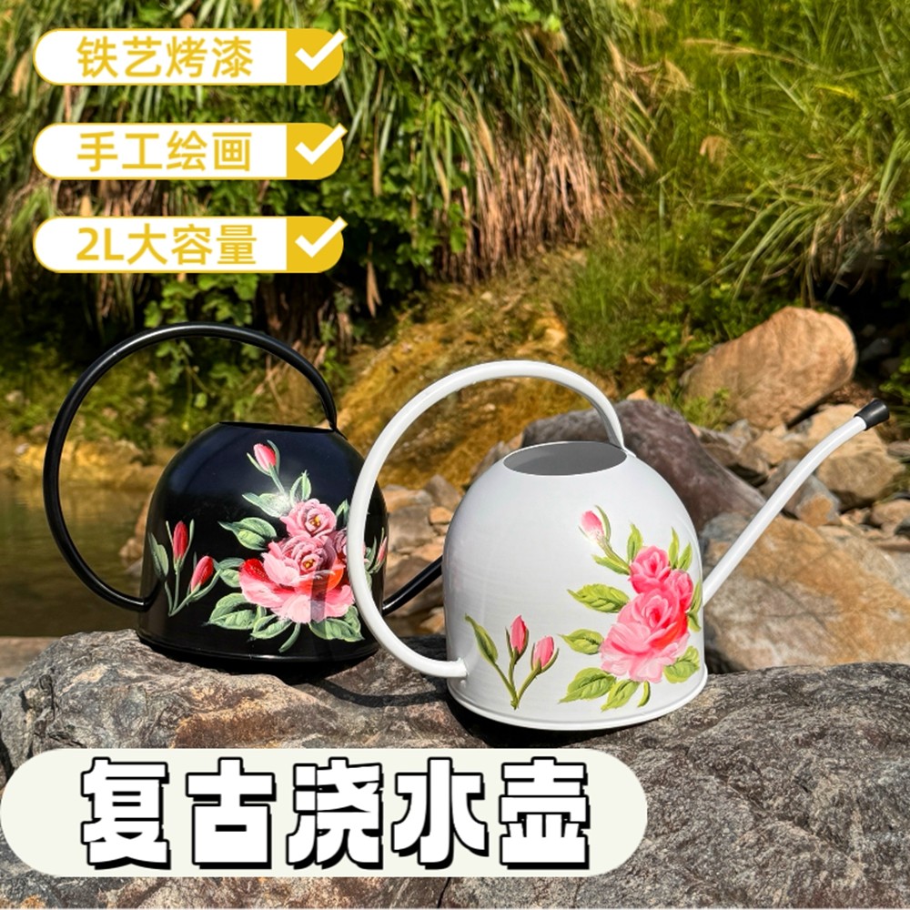 铁艺洒水壶2L浇菜大容量浇菜浇水绿植园艺浇花长嘴喷壶花园淋花壶,鲜花速递/花卉仿真/绿植园艺,洒水/浇水壶,淘宝优惠券,粉丝福利购,淘宝优惠卷