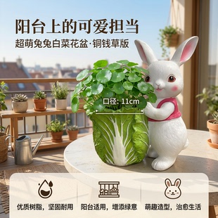 花盆阳台金钱草可爱兔子白菜花盆田园风家居摆件多肉绿萝种植盆器