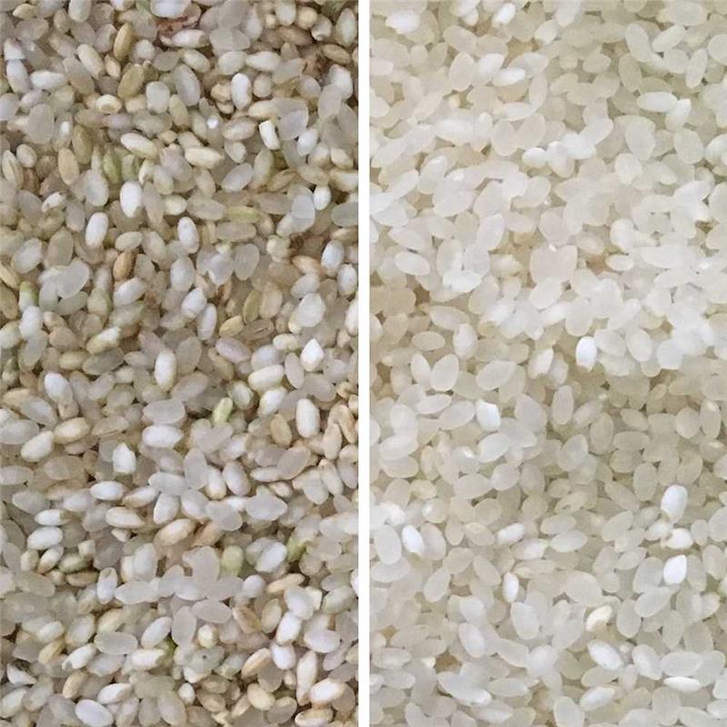 大米精选设备中瑞视小型6SXZ-68大米机色选糙微米糯米珍珠米选色