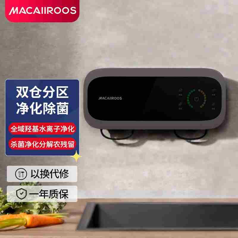 家-果蔬清洗机用壁挂洗菜食净化机材机器双仓分区