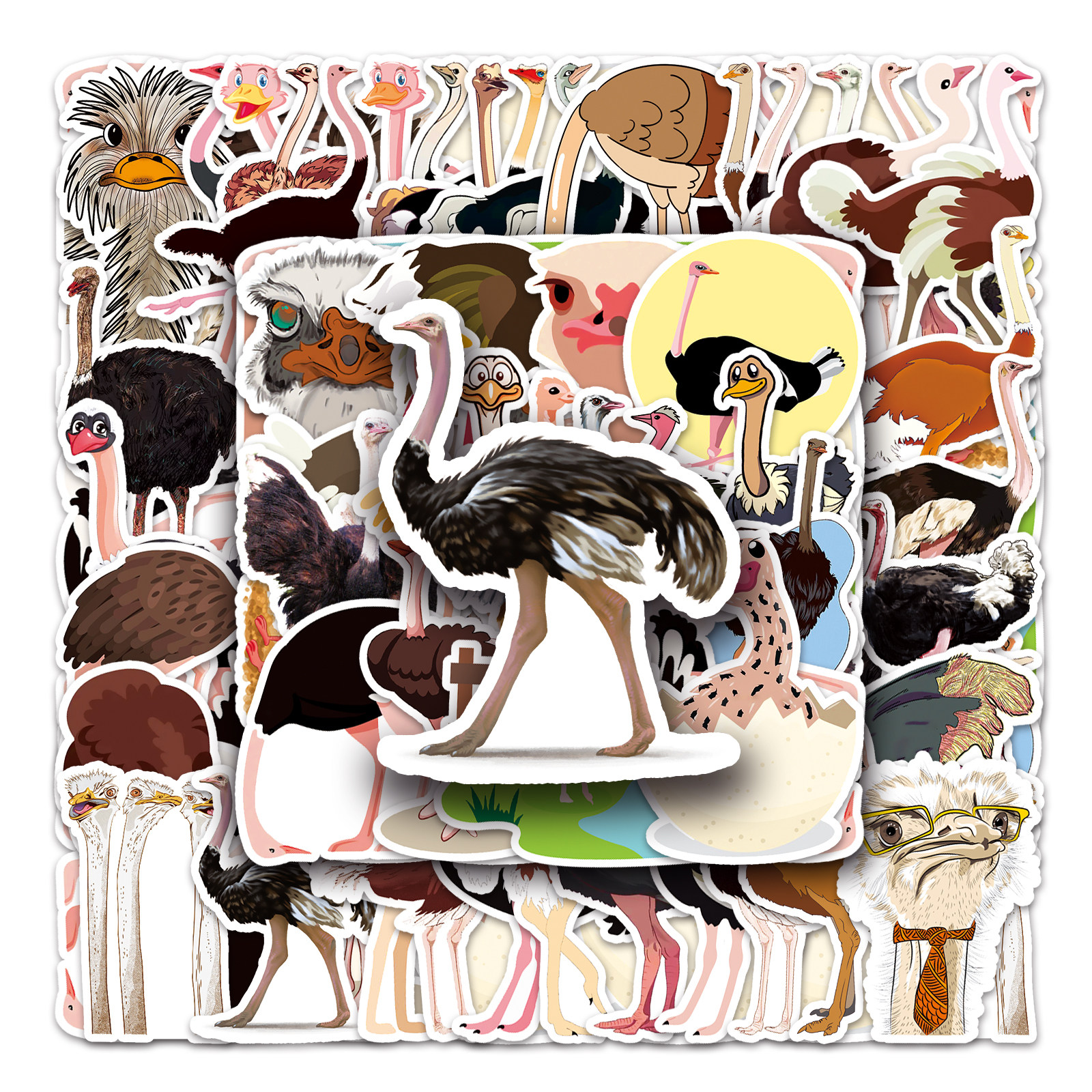 50张非洲大鸵鸟创意贴纸卡通动物防水装饰冰箱文具盒桌面diy贴纸