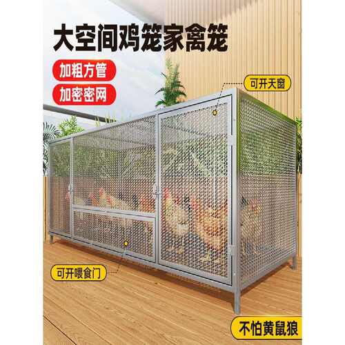 加粗大号养殖笼折叠鸭笼鹅笼狗笼自动滚蛋鸡笼农村自动清粪鸡笼子