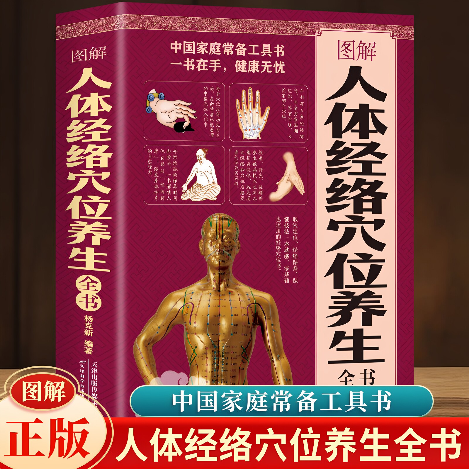官方正版 图解人体经络穴位养生全书 穴位图刮痧拔罐疗法黄帝内经四季养生全书 经络腧穴学疏通经络按摩技巧教程经络穴位养生书