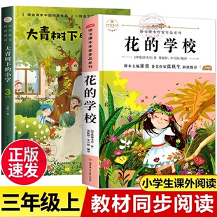 正版 全套2册三年级上册必读推荐经典书目文学散文故事书大青树下的小学 花的学校人教版语文课内作家作品老师3年级课外阅读书籍