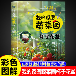 在家就能随时种植想吃 菜 杯子种植全攻略 正版 采收和创意吃法 家庭蔬菜园杯子花盆彩色图解 日常养护避坑指南 蔬菜种植书籍 我