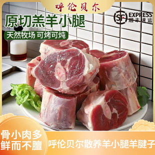 呼伦贝尔本地现杀羊小腿羊肉新鲜羊腱子5斤羔羊肉羊前腱羊拐羊腿