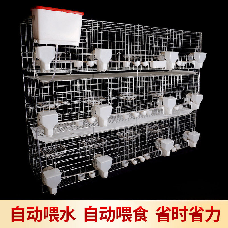 批发鸽子笼家用用品12位养殖信鸽配对肉鸽繁殖鸽笼养殖笼笼子