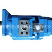 载机双联齿轮泵 G16G P5100 装 F63NJ3676 P124 高压耐用 铸铁材质