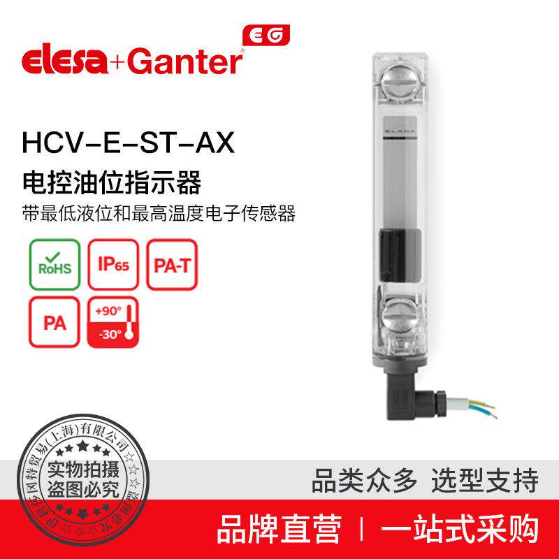 ElesaGanter伊莉莎冈特HCV-E-ST-AX电控油位指示器
