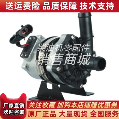 雷利BLP9e3-300电子水泵新能源汽车电机冷却水泵12V进出水口直径2