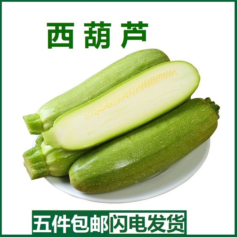 新鲜西葫芦 云南小瓜 三月瓜小嫩瓜白角瓜菜瓜茭瓜当季现摘500g
