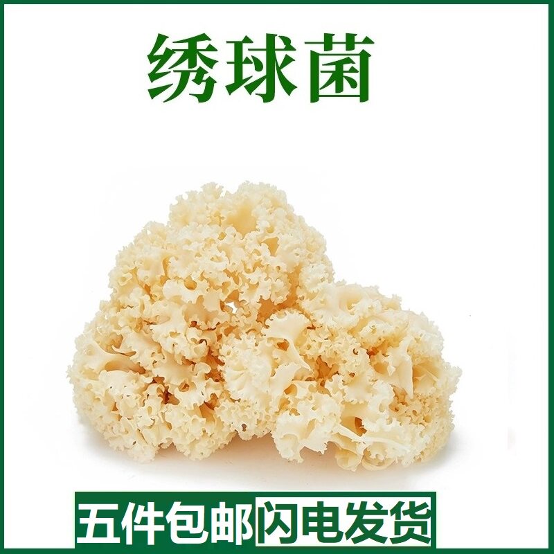 绣球菌新鲜1kg/盒绣球菌菇鲜绣球菇火锅食材新鲜菌菇5件顺丰包邮图片