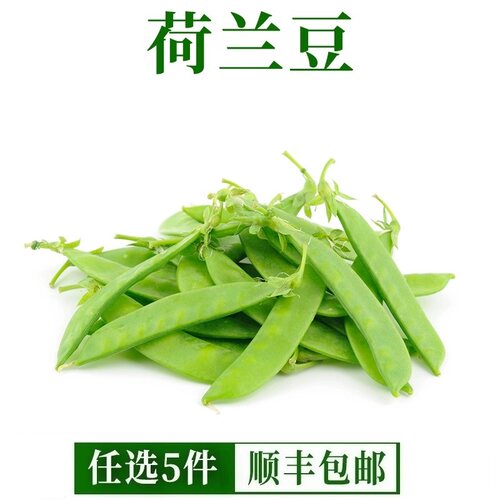 新鲜荷兰豆250g 甜豆青豆菜豌豆麦豆荚豆农家新鲜蔬菜 满5件包邮