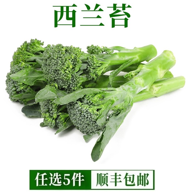 新鲜西兰苔500g 手指西兰花 蔬菜兰花苔青花苔青花菜西餐酒店食材