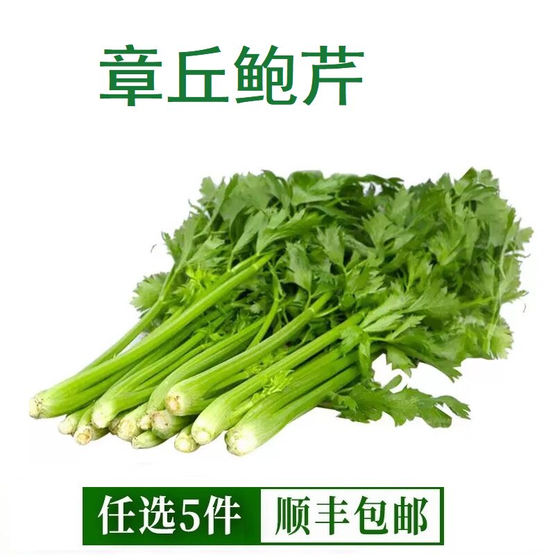 章丘鲍芹5斤装正宗山东特产泉水灌溉高标嫩芽脆甜普通标准礼盒装