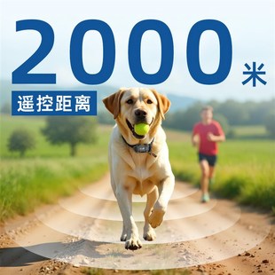 2000米远程g远距离遥控电击项圈训狗狗电动电脖套放牧神器带寻狗