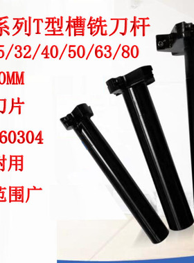 三面刃T型槽铣刀杆TPlM06-50-H10-C25-150-4T适配MPHT060304刀片