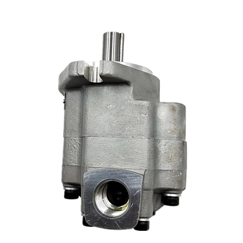 天津派克齿轮油泵G5-5 6 8 10 12 16 20 25 30-1E1T3S-20R/L液压