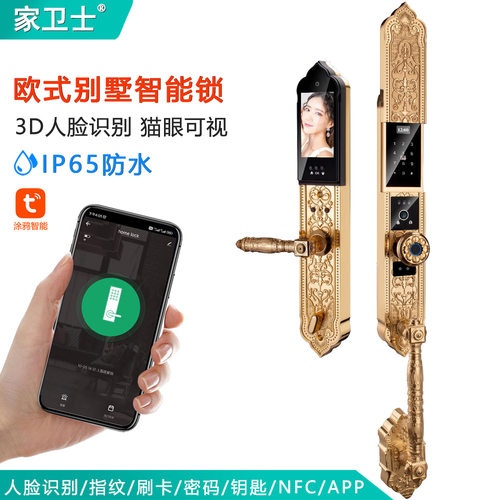 24K金色别墅欧式人脸识别智能锁对开门古典花纹猫眼可视人脸锁