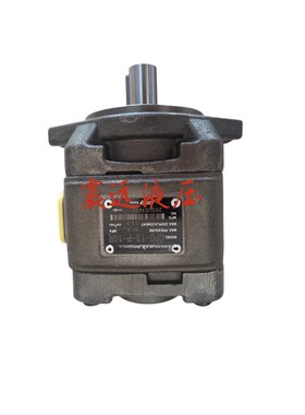 CP0-20c-P-10R 伺服油泵 HG1-63/50/40/32/25/20/16/13/10-01R-VP